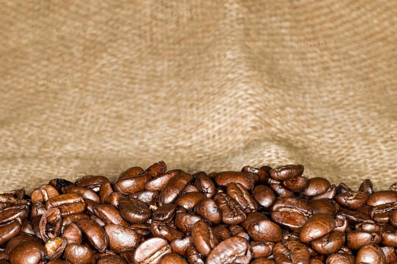 Coffee beans of the Arabica variety lie in a jute bag