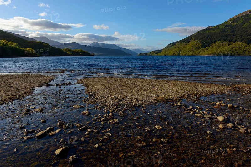 Lake shore in the spring