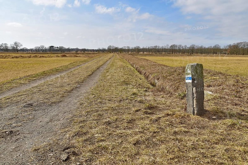 Hiking trail in spring on the former Karolinenhoehe sewage farm
