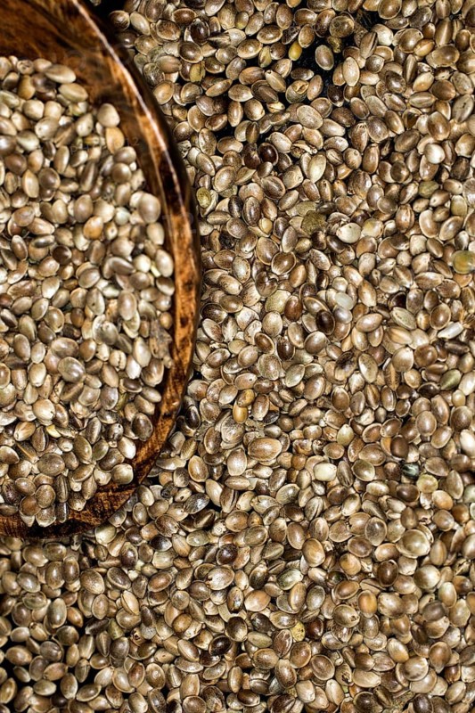 Hemp
