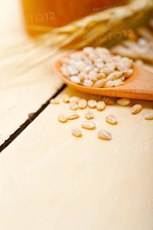 Organic wheat grains over rustic wood table macro closeup