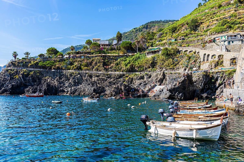 Colourful fishing boats reflected in the water in the harbour of Manarola
