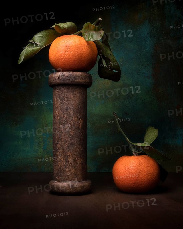 Food photography