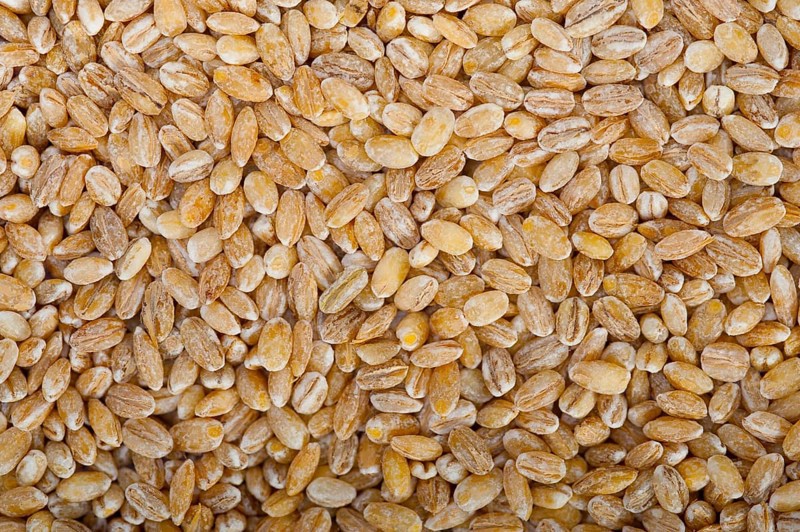 Organic barley grains over rustic wood table macro closeup