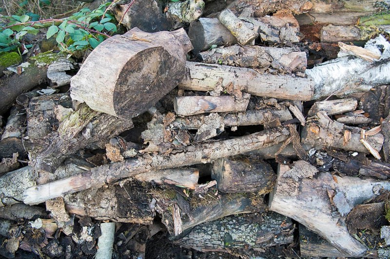 Deadwood piles as natural insect nesting aid