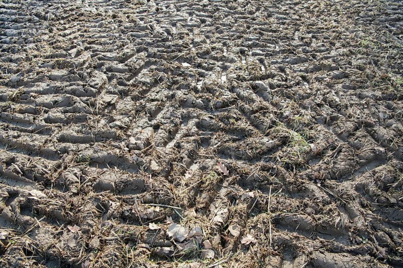 Soil compaction in the field