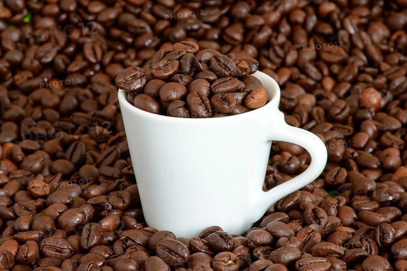 A white cup for espresso filled with whole coffee beans stands in a pile of roasted coffee beans