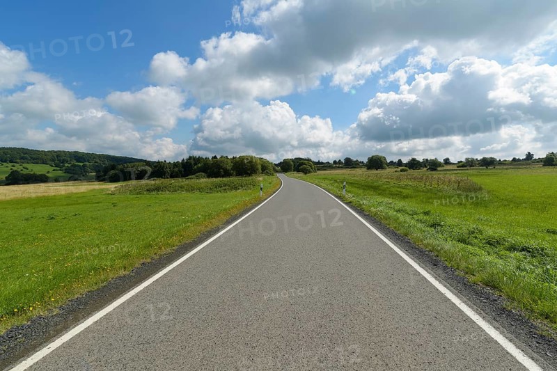 Road in landscape