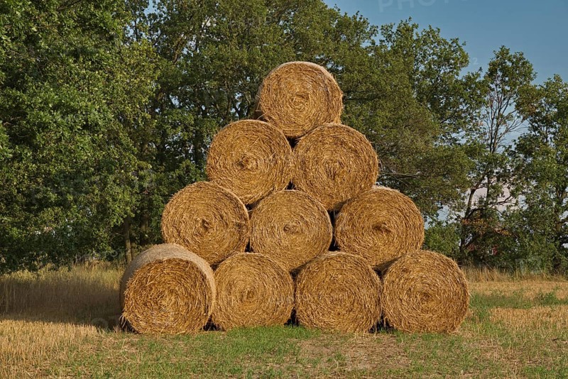 Straw bales on a former sewage field of the Berlin city estates near Ruhlsdorf