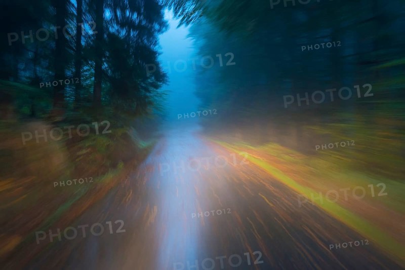 Car driving on autumnal wet road through the forest at dawn
