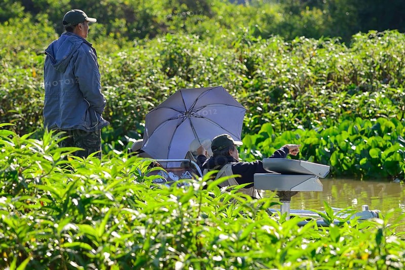 Tourists in a motorboat watching wildlife
