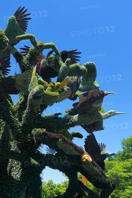 Plant sculpture of birds