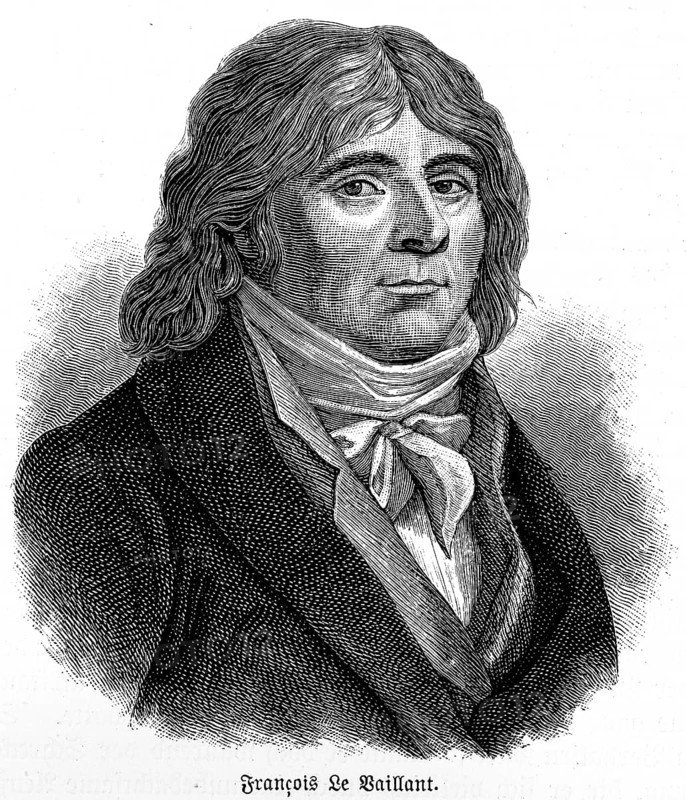 Francois Le Vaillant