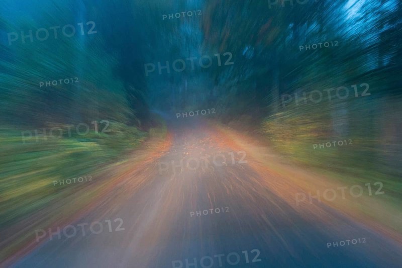 Car driving on autumnal wet road through the forest at dawn