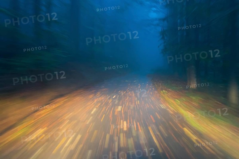 Car driving on autumnal wet road through the forest at dawn