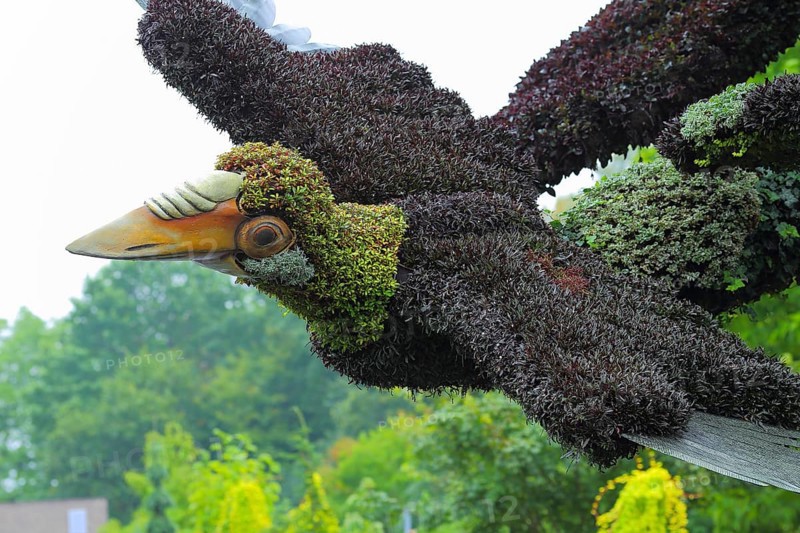 Plant sculpture of birds