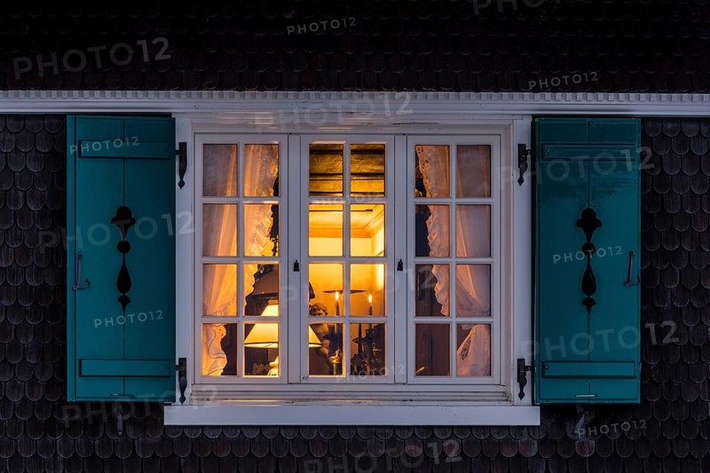 Window