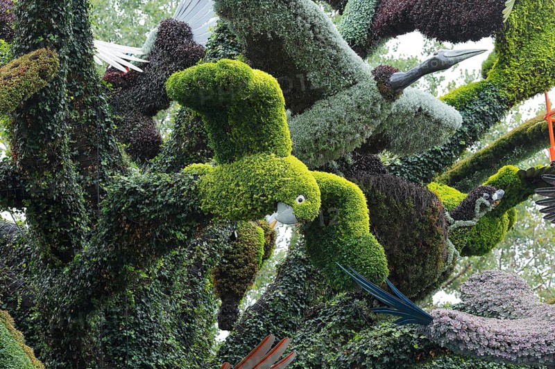Plant sculpture of birds
