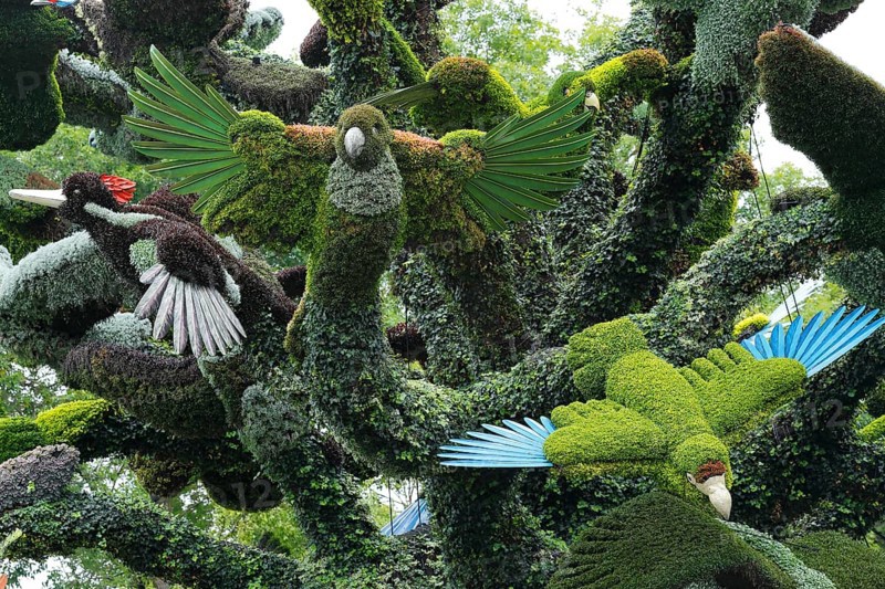 Plant sculpture of birds
