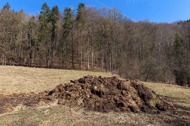 Dung heap in a meadow