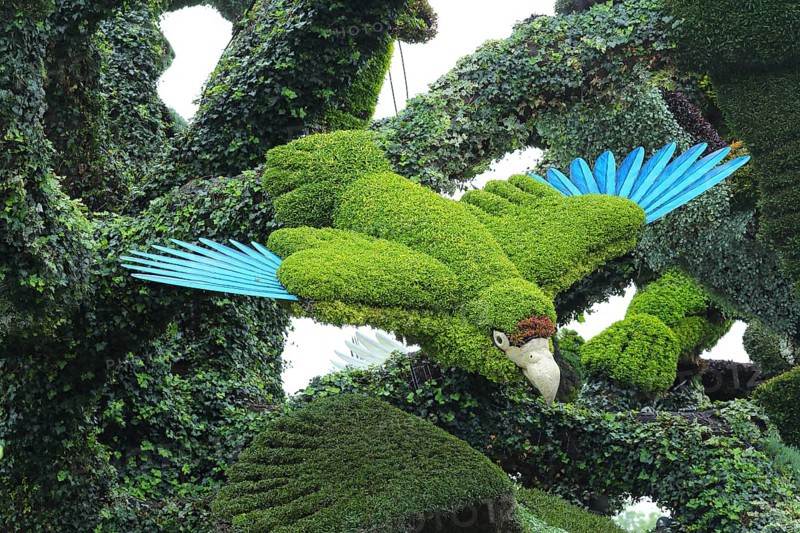Plant sculpture of birds