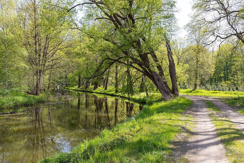 Path through meadows on the Black Elster