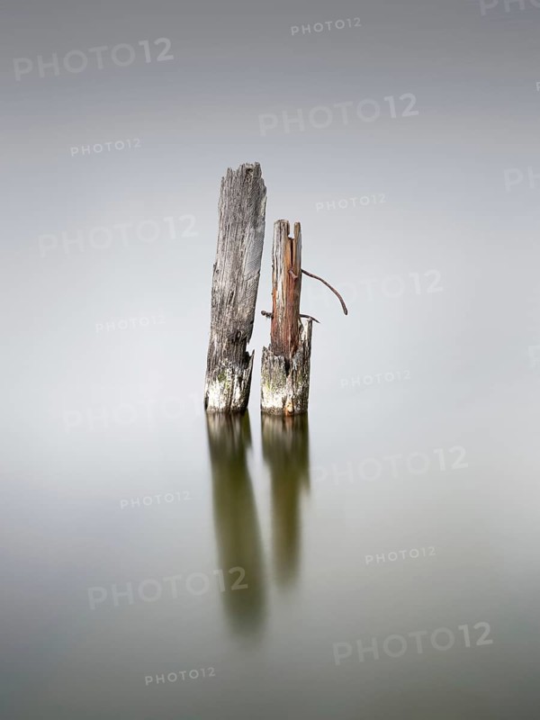 Wooden pile on the Great Jasmund Bodden