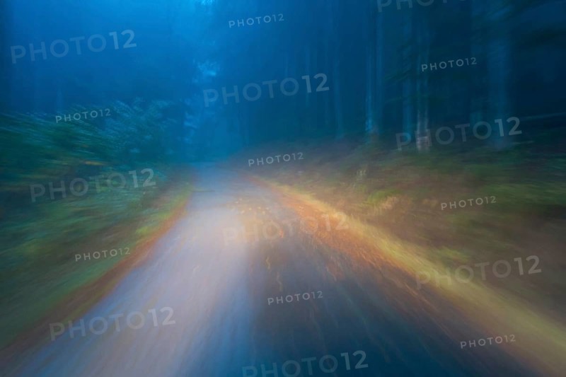 Car driving on autumnal wet road through the forest at dawn