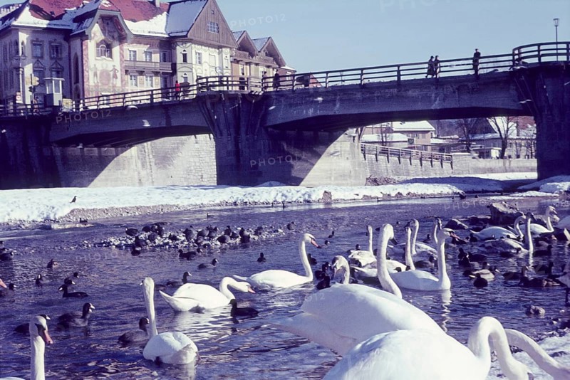 Old Isar Bridge in Bad Toelz
