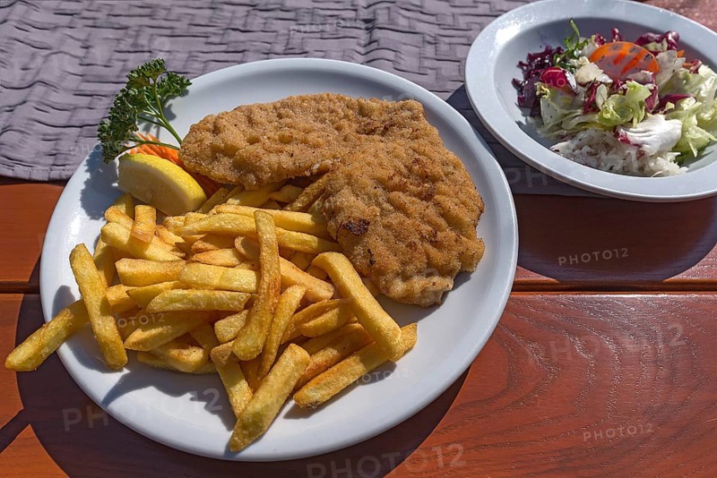 Wiener Schnitzel with french fries and salad served in a garden restaurant