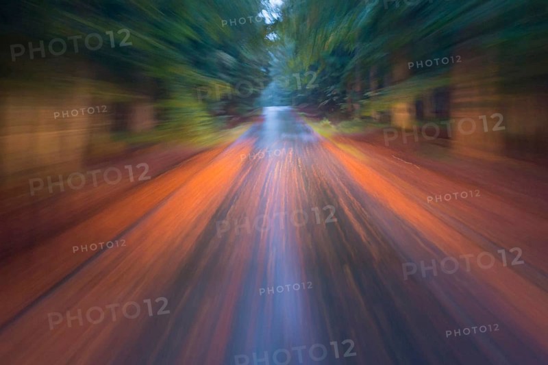 Car driving on autumnal wet road through the forest at dawn
