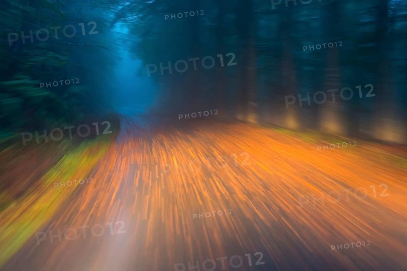 Car driving on autumnal wet road through the forest at dawn