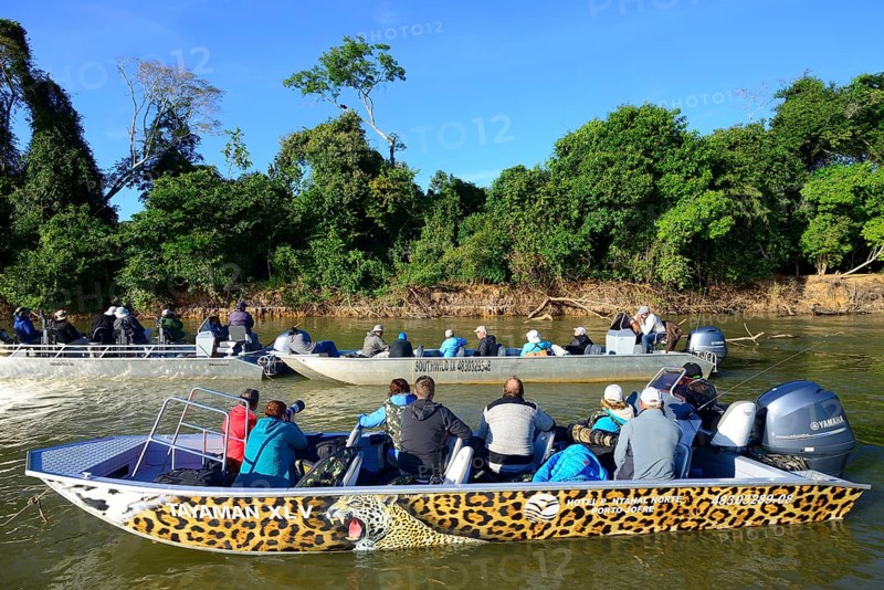 Tourists in motorboats watching wildlife