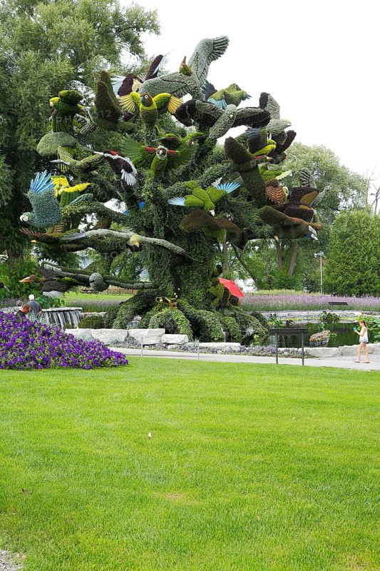 Plant sculpture of birds