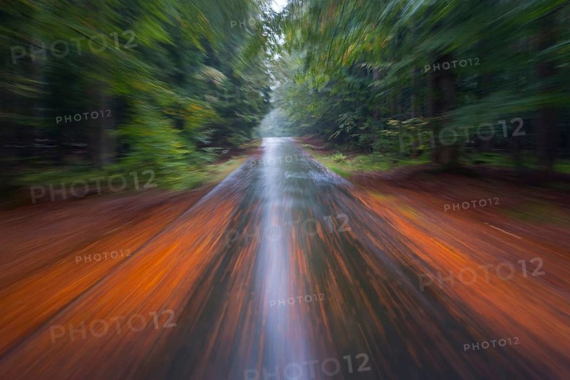 Car driving on autumnal wet road through the forest at dawn