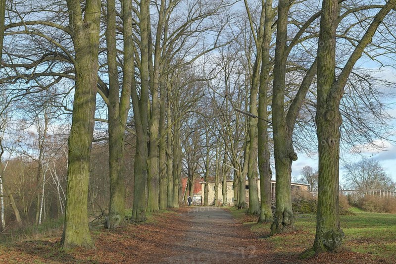 Imchenallee