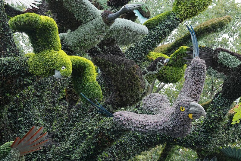 Plant sculpture of birds