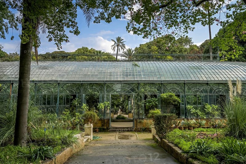 Glass House Conservatory