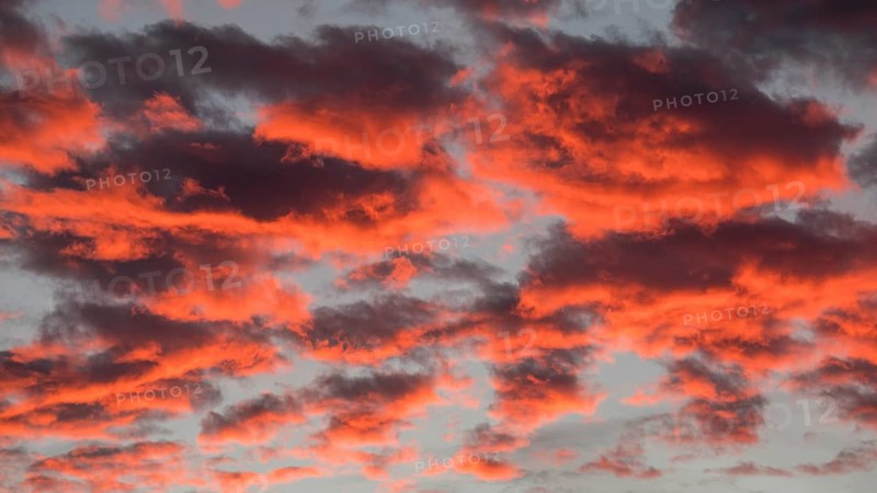 Pink clouds