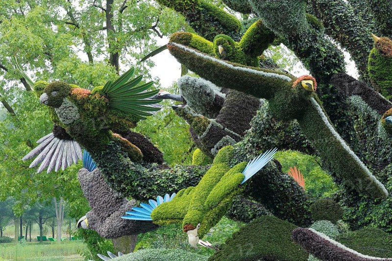 Plant sculpture of birds
