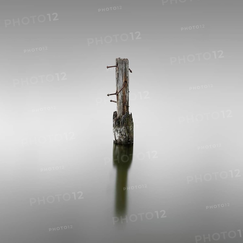 Wooden pile on the Great Jasmund Bodden