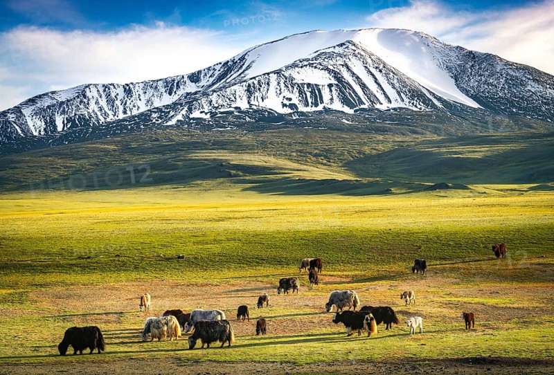 Snow-covered Mount Tsengel. Western Mongolia