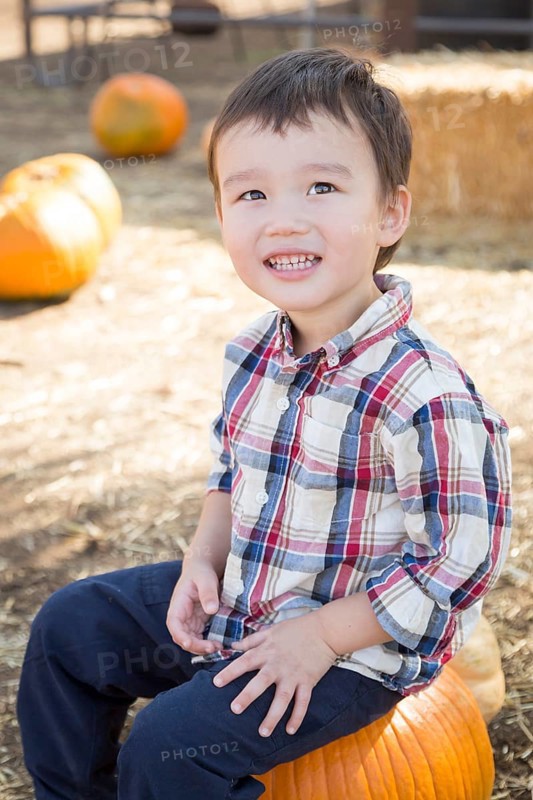 Cute mixed-race young boy having fun at the pumpkin patch