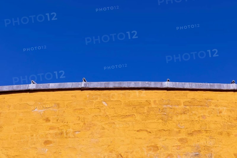 Details fromÂ Roskilde Mansion