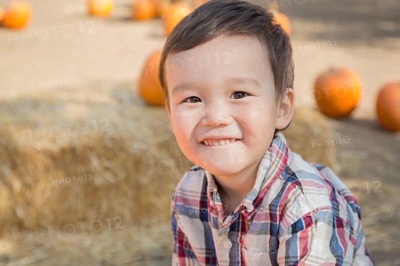 Cute mixed-race young boy having fun at the pumpkin patch