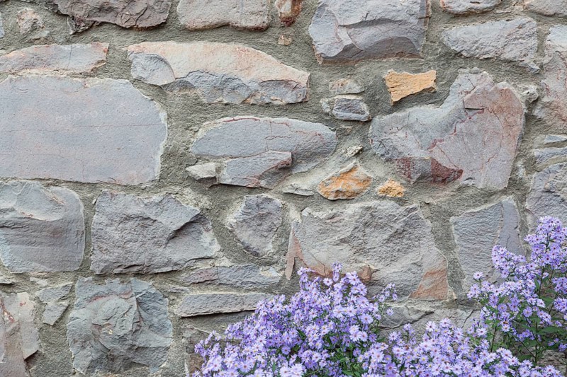 Old stone wall with flowers background texture