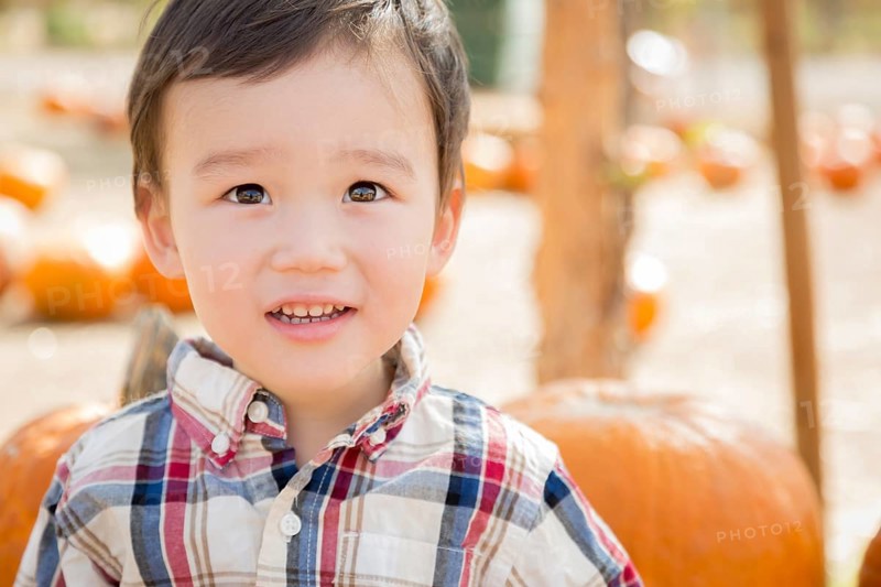 Cute mixed-race young boy having fun at the pumpkin patch