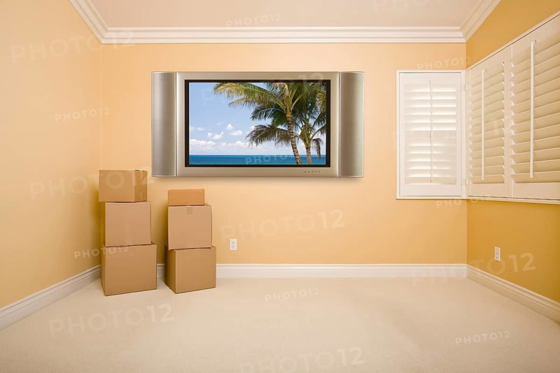 Flat panel television on wall with tropical scene in empty room with boxes
