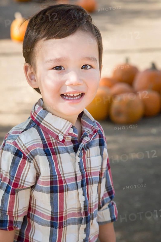 Cute mixed-race young boy having fun at the pumpkin patch