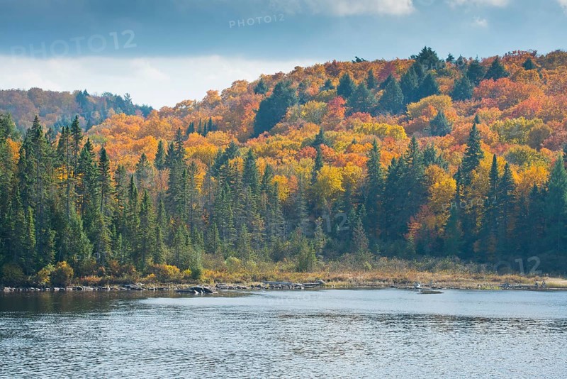 Herbstfarben im Algonquin Park